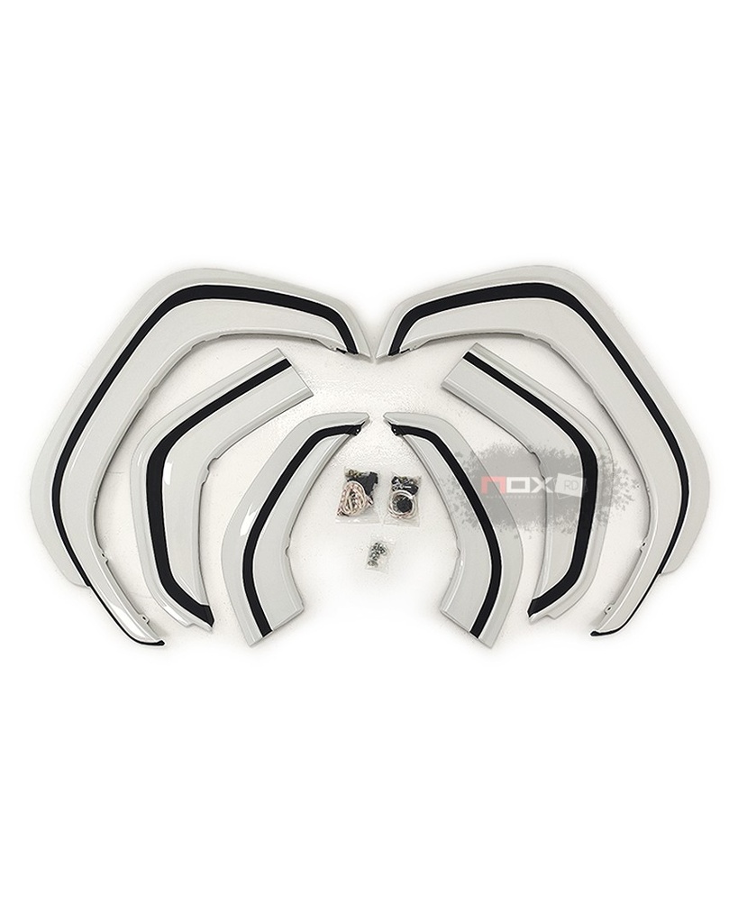 KIT MODELISTA LIPS Y FLEAR LC300 22-24
